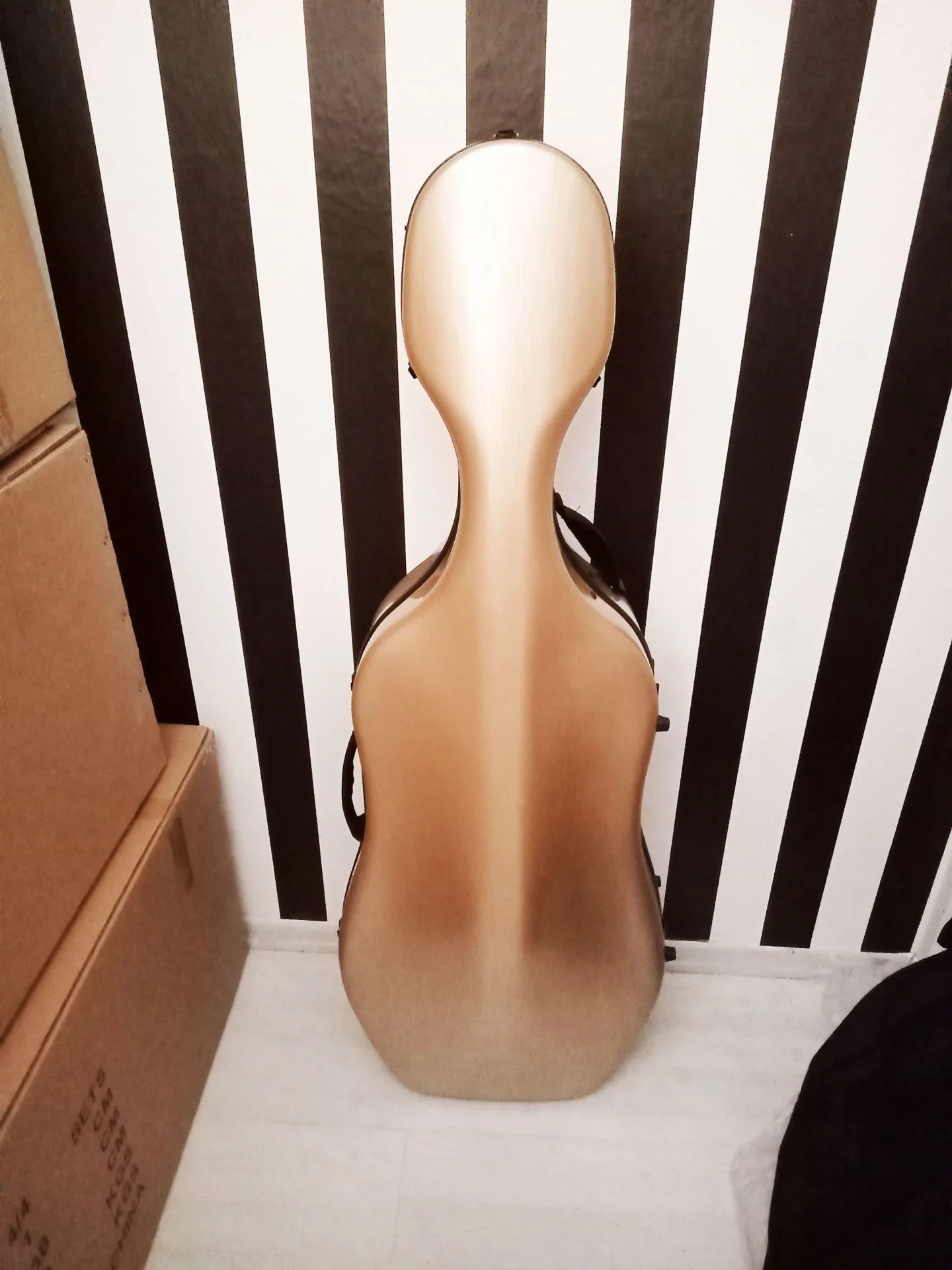 Çello Sert Kutu Taşıma Çantası Hardcase Fibercase 