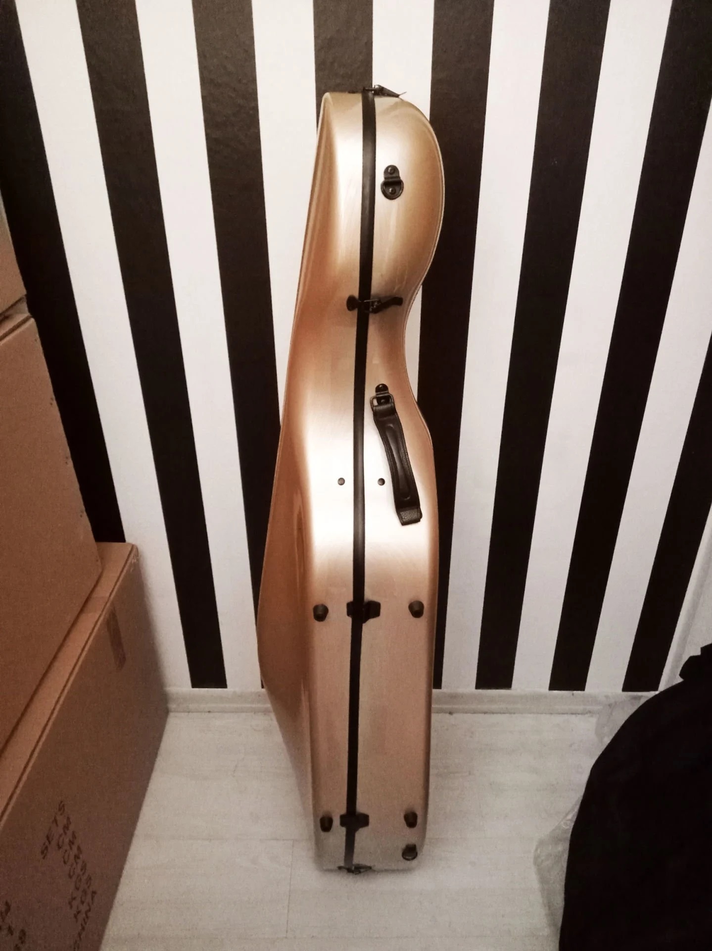 Çello Sert Kutu Taşıma Çantası Hardcase Fibercase 