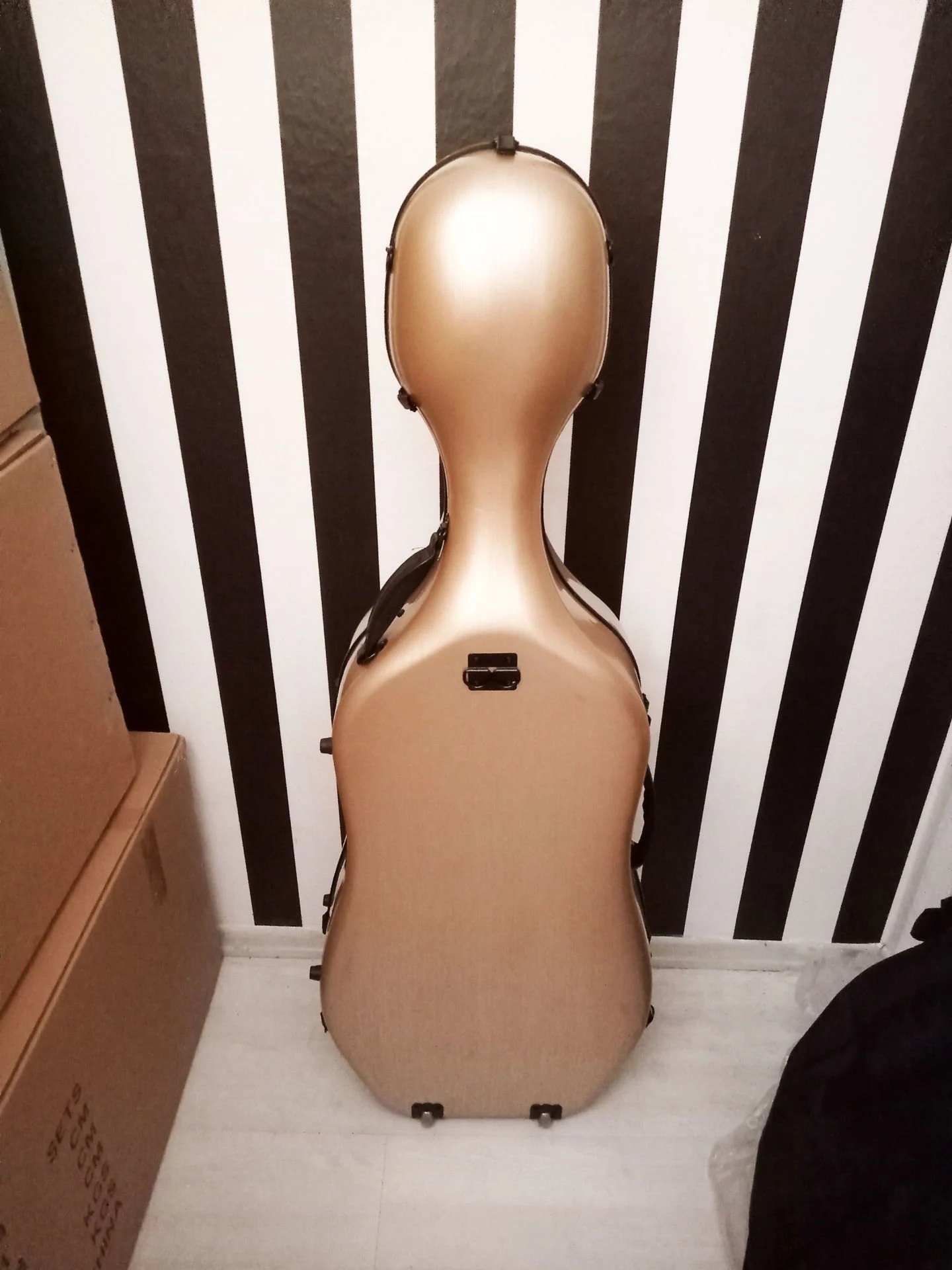 Çello Sert Kutu Taşıma Çantası Hardcase Fibercase 