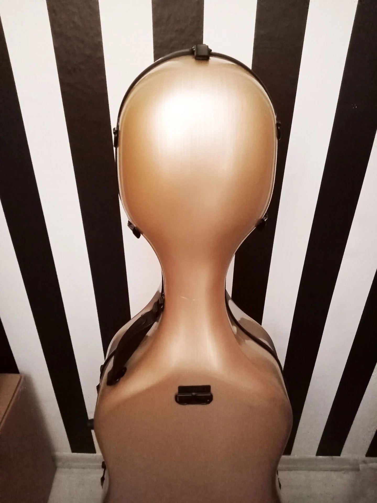 Çello Sert Kutu Taşıma Çantası Hardcase Fibercase 