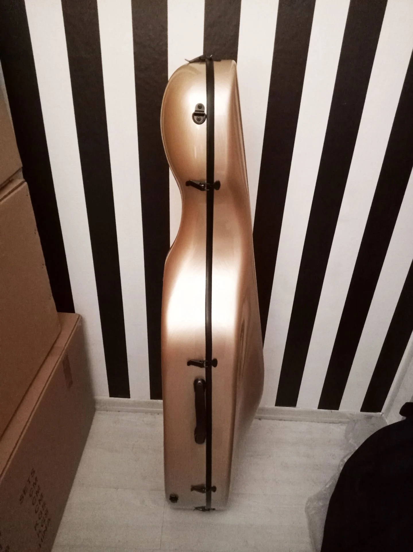 Çello Sert Kutu Taşıma Çantası Hardcase Fibercase 