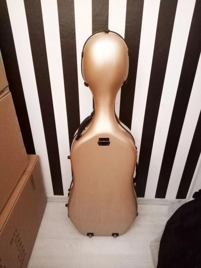 Çello Sert Kutu Taşıma Çantası Hardcase Fibercase 